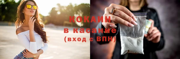 Альфа ПВП Верея