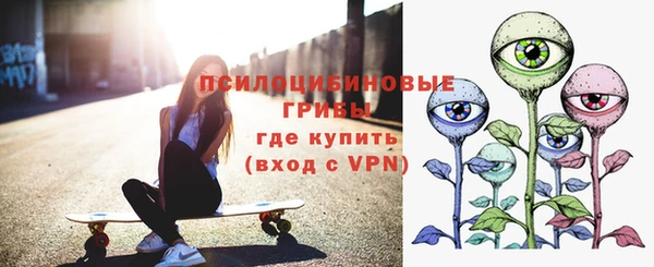 Альфа ПВП Верея